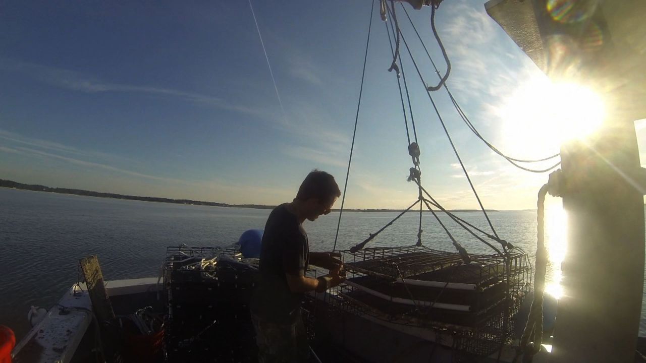 Oyster cages at dawn