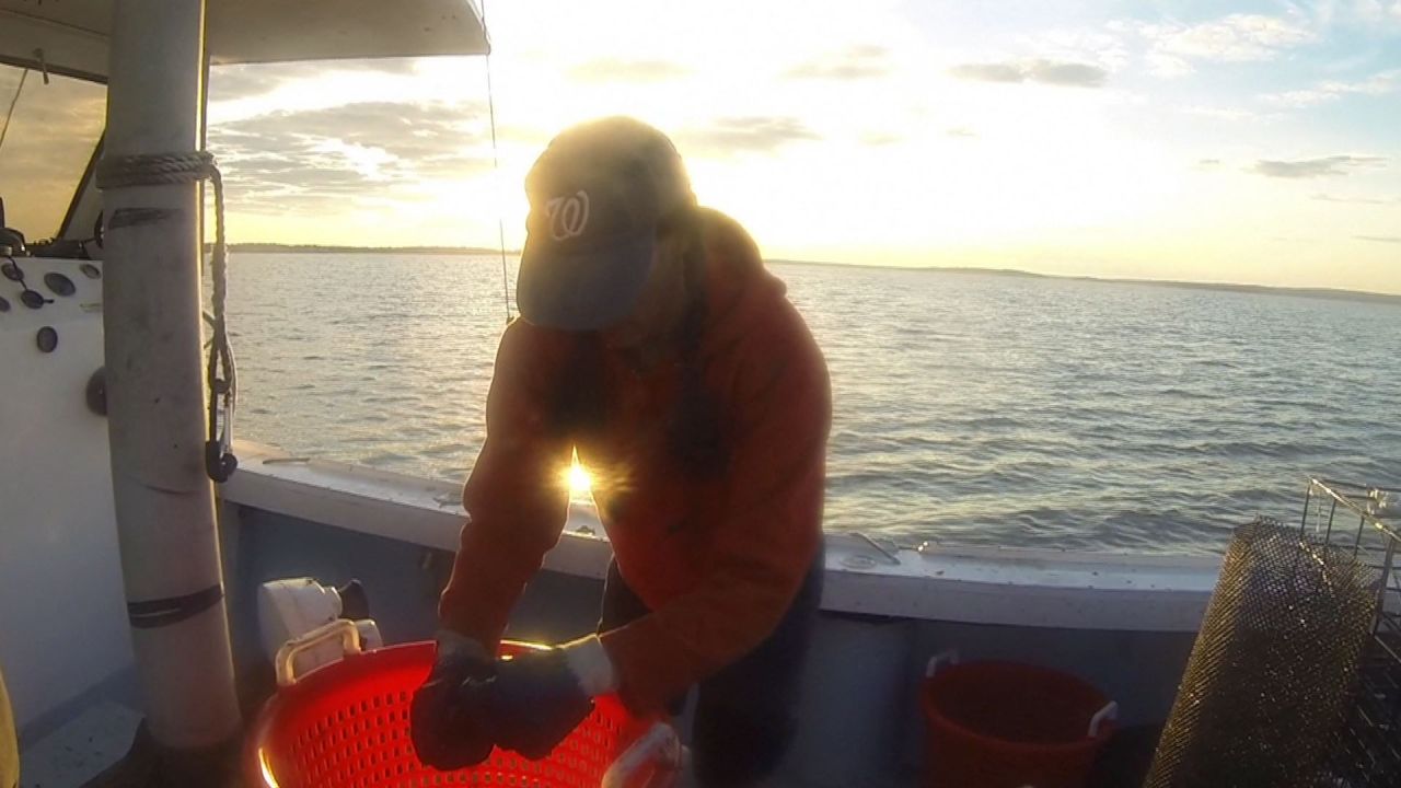 Rosalie sorts through some of the faster growers